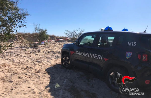 Sbancamento dune fascia litoranea senza autorizzazione a Santa Caterina, 3 denunce 