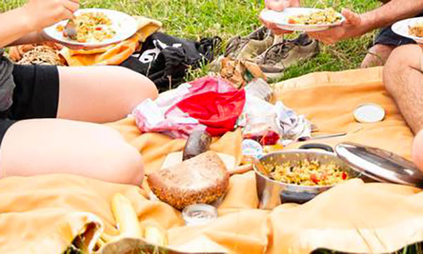 Covid, scampagnata per festeggiare 1 Maggio a Serra San Bruno: sanzionati