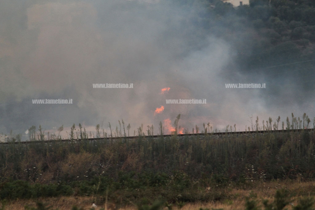 scordovillo2-08132016-204052.jpg