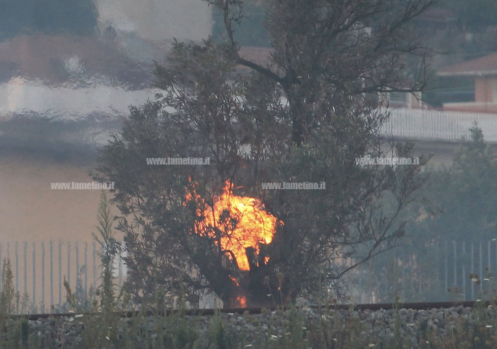 Lamezia, nuovo rogo a Scordovillo