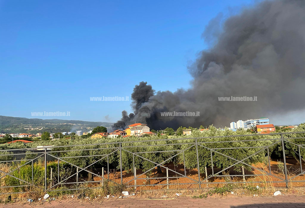 scordovillo_9f252.jpg