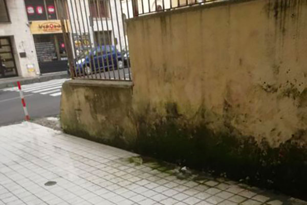 "Fogna a cielo aperto davanti liceo Siciliani di Catanzaro", la denuncia del Codacons