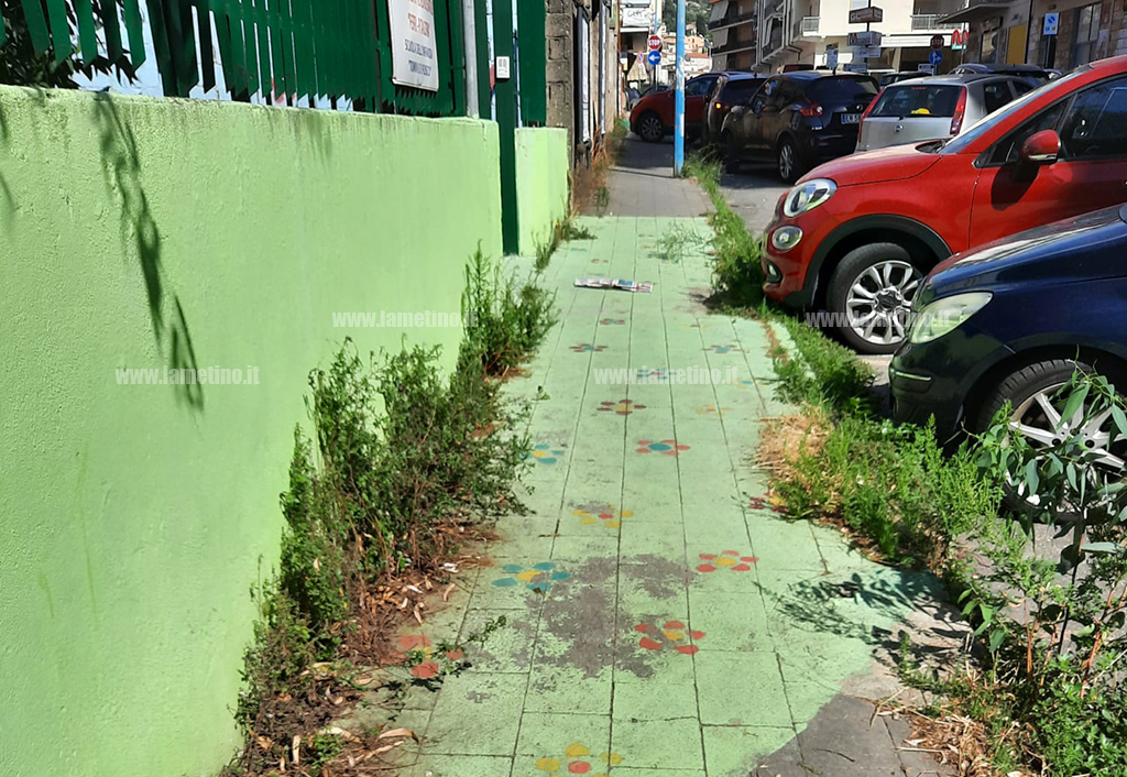 scuola-erbacce-lamezia-209210b3_667ea.jpg