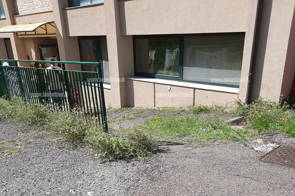 scuola-erbacce-lamezia-209218_91224.jpg