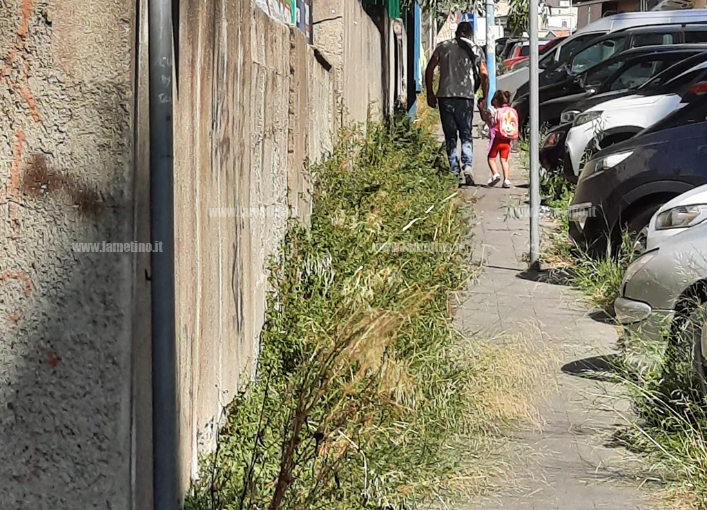 Lamezia, ingresso e marciapiedi invasi da erbacce: disagi per piccoli alunni della scuola dell’infanzia Tommaso Fusco