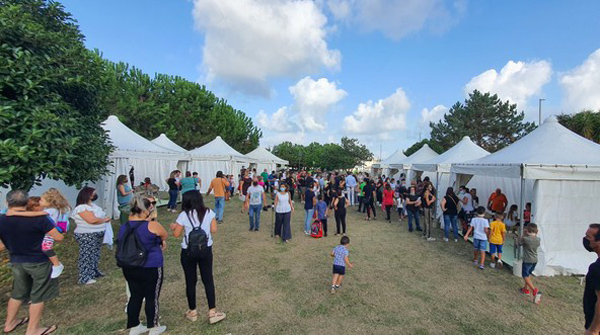 Lezione in gazebo, proteste per soluzione tampone in plesso elementari a Vibo