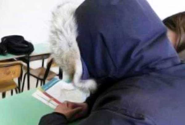 Troppo freddo, scuole chiuse in cinque centri del vibonese