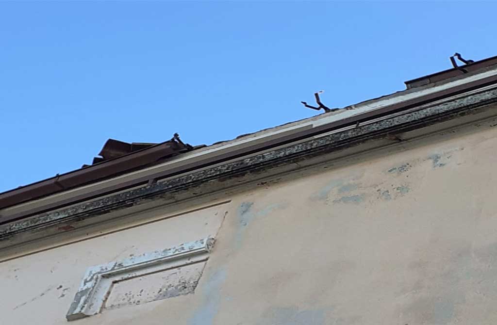 scuola-san-p5617a4886_23ee9.jpg