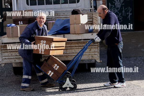 seggio-allestimento-scuola-pitagora-bis.jpg