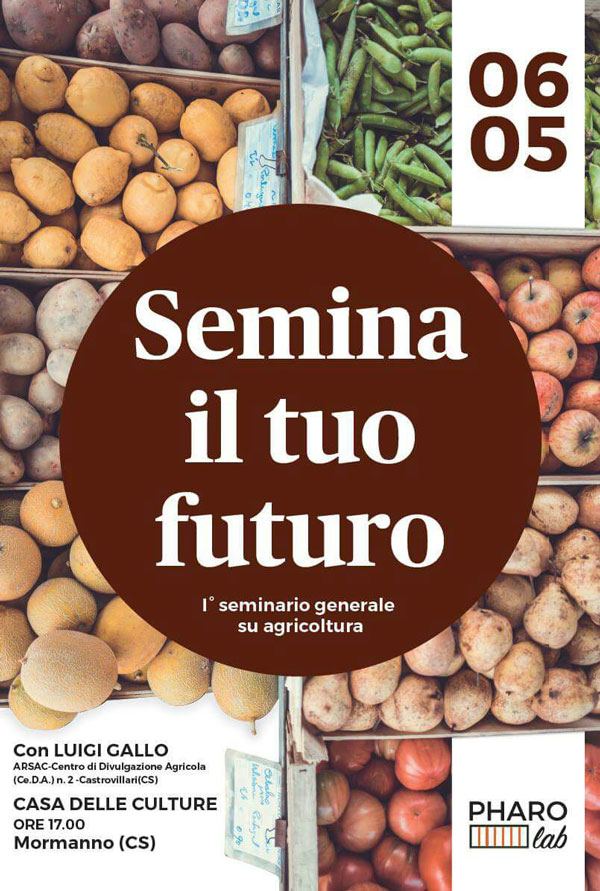 semina.jpg