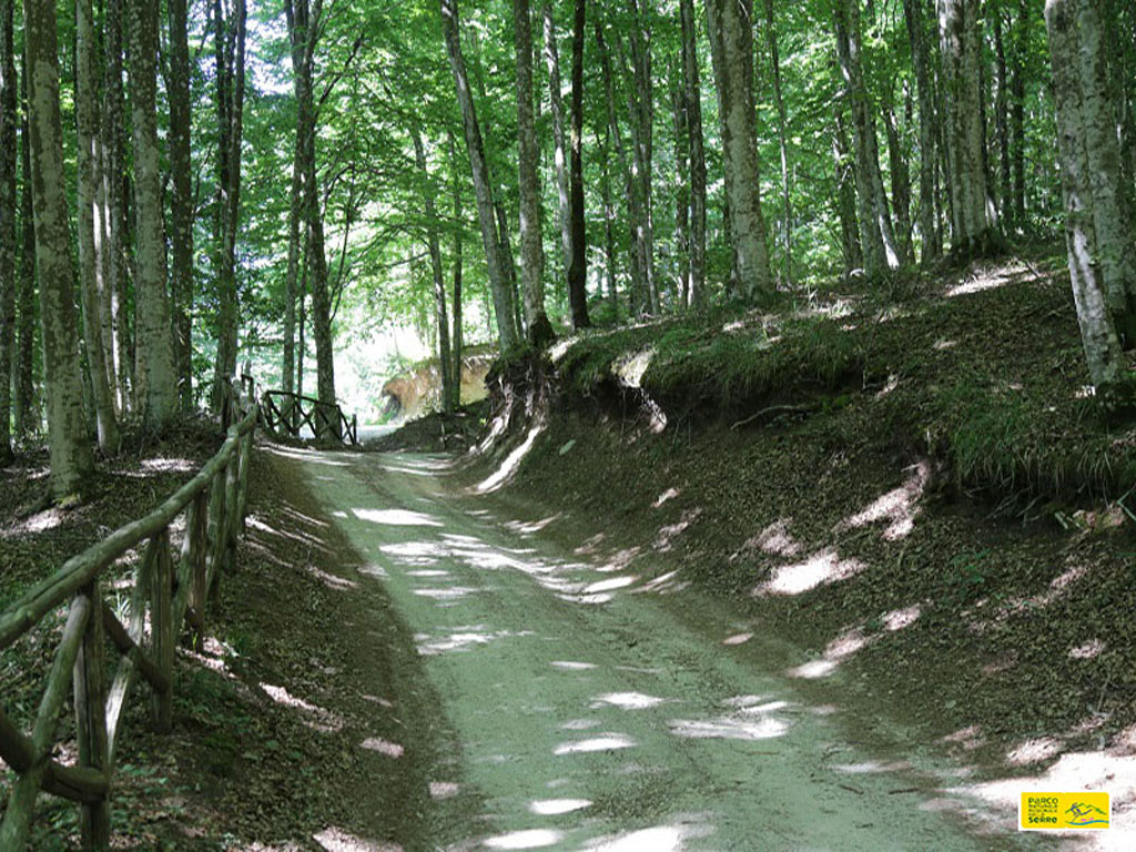 Parco delle Serre, apre il nuovo sentiero naturalistico "Lacina-Lu Bellu"