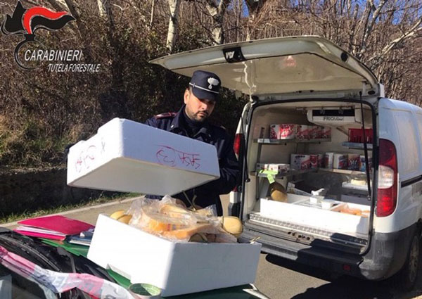 Sequestrati oltre 15 kg di formaggi privi di tracciabilità a Montalto Uffugo