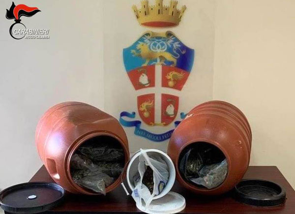 Sequestrati 14 kg di marijuana a Gioiosa Ionica, avrebbero fruttato circa 20mila euro