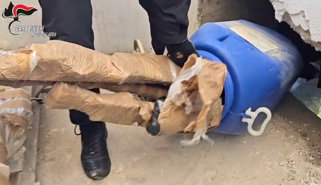 Armi da guerra ed esplosivi nascosti in quattro barili, maxi sequestro a Reggio - Video