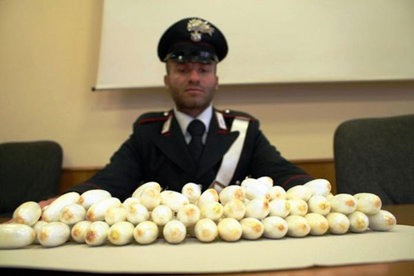 sequestro-cocaina-vibo.jpg