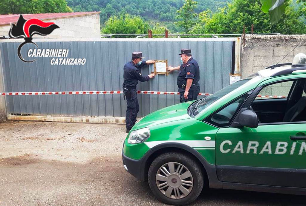 sequestro-con-cc-forestali_e89c3.jpg