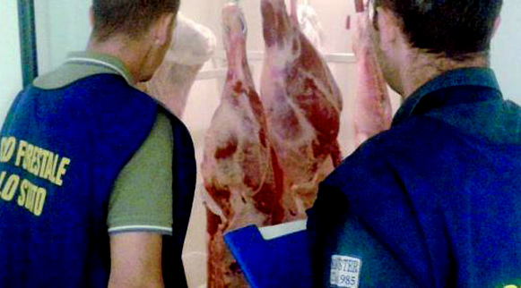 Calabria: Sequestrati 3 quintali di carne e formaggi privi di tracciabilità a Lamezia e a Vibo
