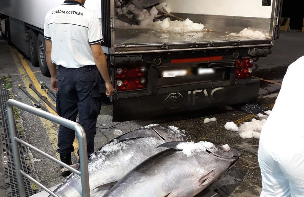 Operazione "Damocle", sequestrate oltre 12 tonnellate di tonno rosso, sanzioni per oltre 84mila euro in Calabria