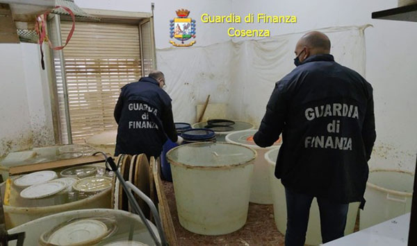sequestro-distelleria-abusiva-a-Cosenza-26.02.2021.jpg