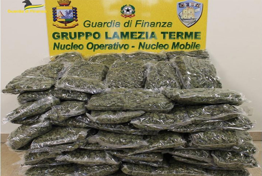 sequestro-marijuana-lamezia-2022-12-29-alle-10.28.58_132e1.jpg