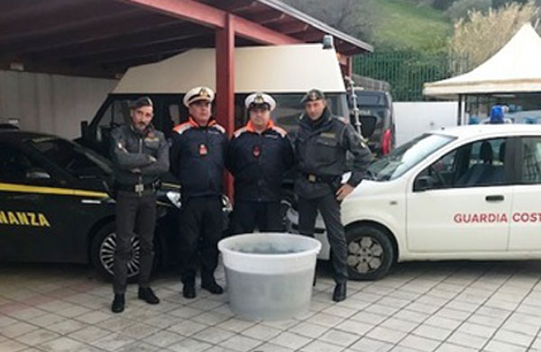 Sequestrati 750 chili di ‘bianchetto’ a Roseto Capo Spulico