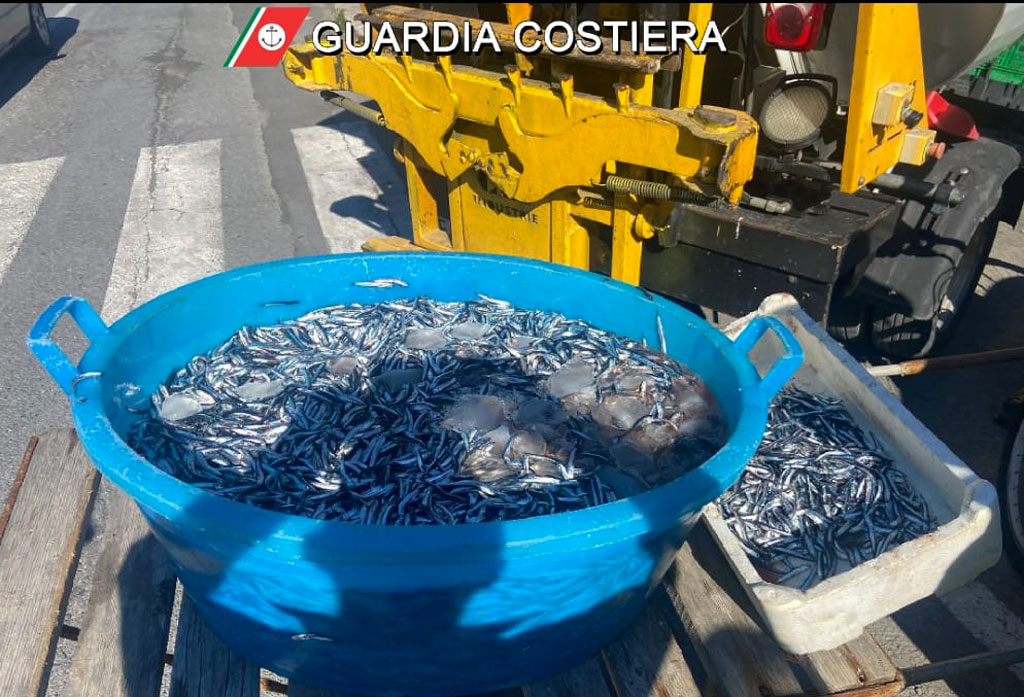 Sequestrati 100 chili di prodotti ittici ad Amantea