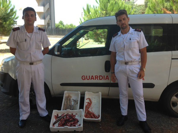 Calabria: Sequestrato pesce pescato abusivamente
