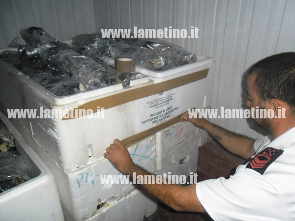 sequestro-pesce-guardia-costiera-02-30sett13.jpg