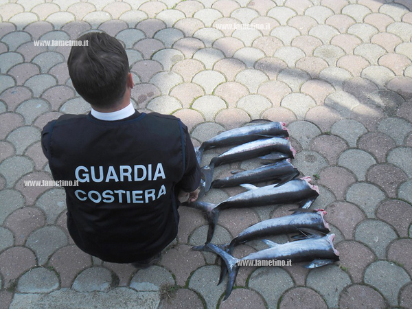 sequestro-pesce-guardia-costiera-corigliano.jpg