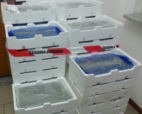 Calabria: sequestrati 300 chili di novellame di sarda, una denuncia 