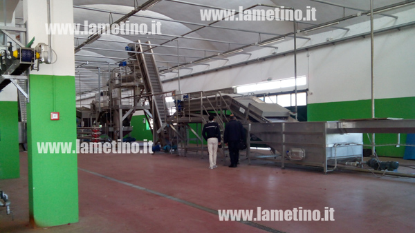 sequestro-sibaritide-gdf-2014.jpg