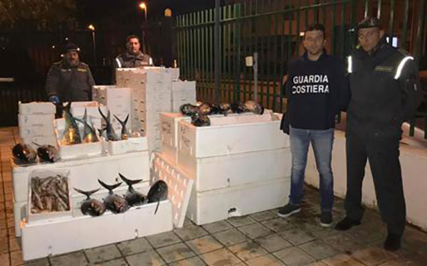Sequestrati oltre 800 kg prodotto ittico a Roseto Capo Spulico