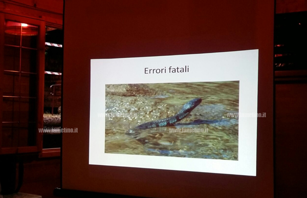 serpente.jpg