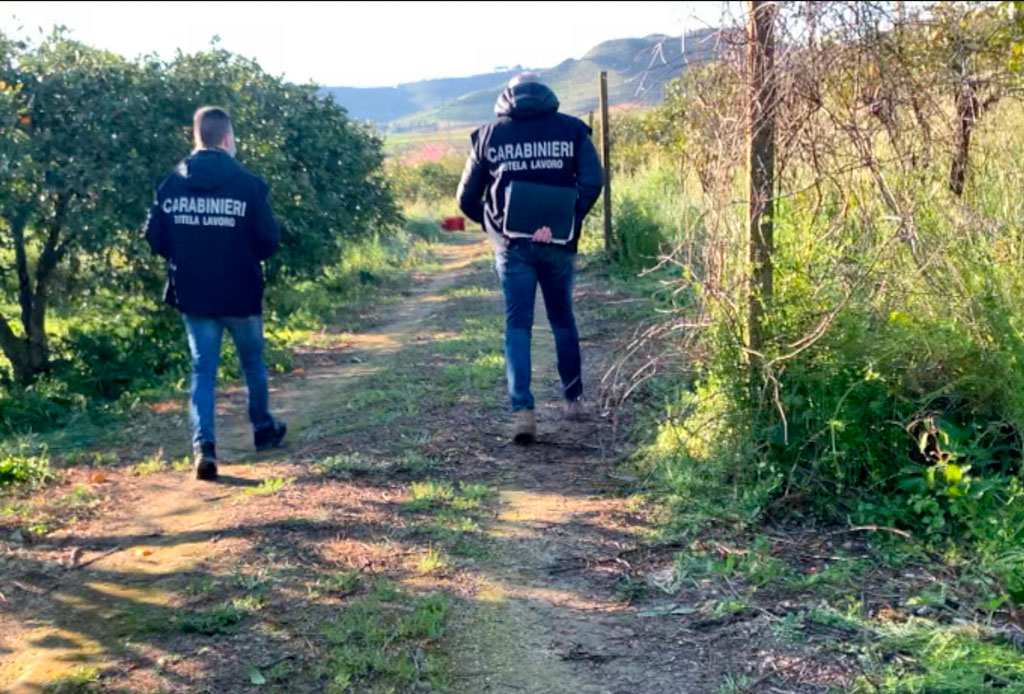 Sfruttamento del lavoro in azienda agricola del Lametino, controllo giudiziario della società - VIDEO