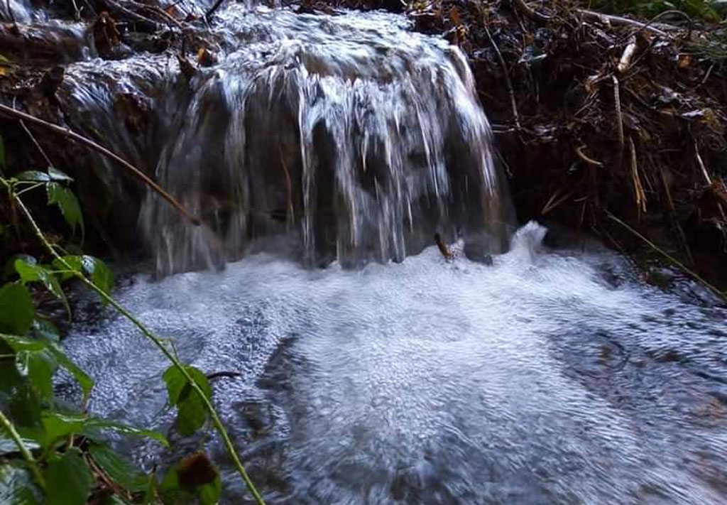 sila-image-2022-07-14_d6e6c.jpg