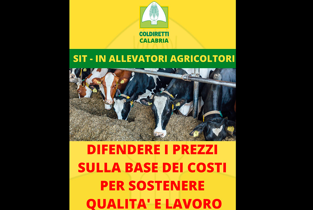 Speculazioni, caro energia e chiusure: il 17 febbraio in Calabria sit-in allevatori e agricoltori