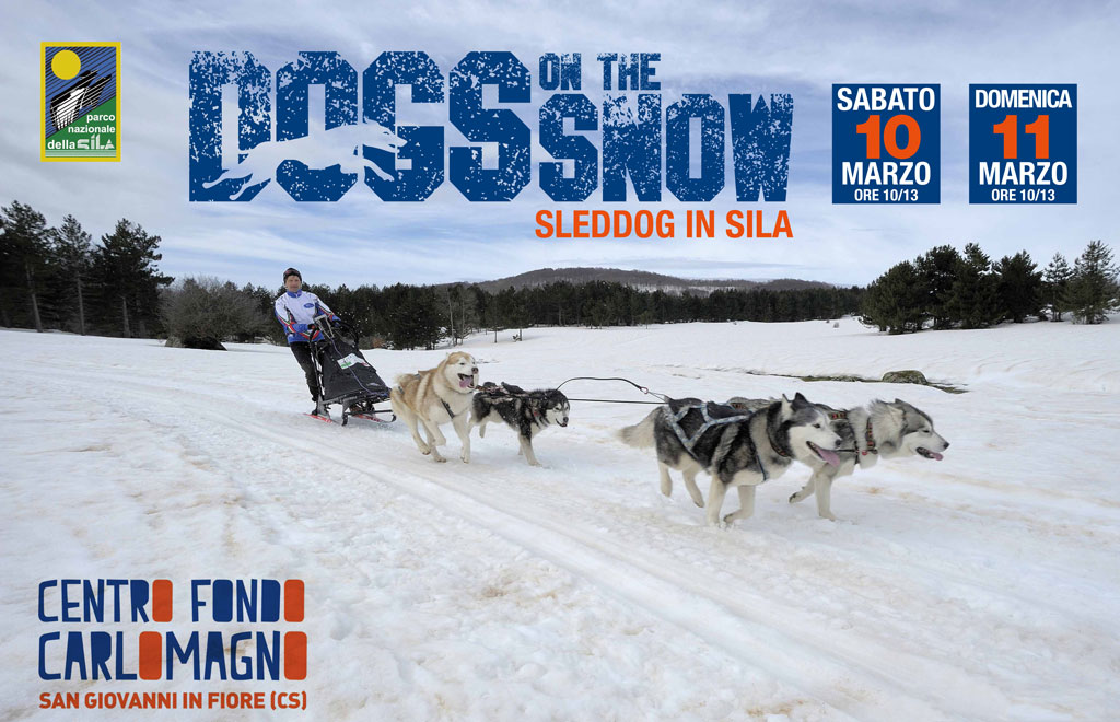 Torna nel Parco Nazionale della Sila lo sleddog, la corsa con cani da slitta più a sud d’Europa