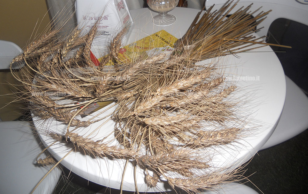 slow-food2.jpg