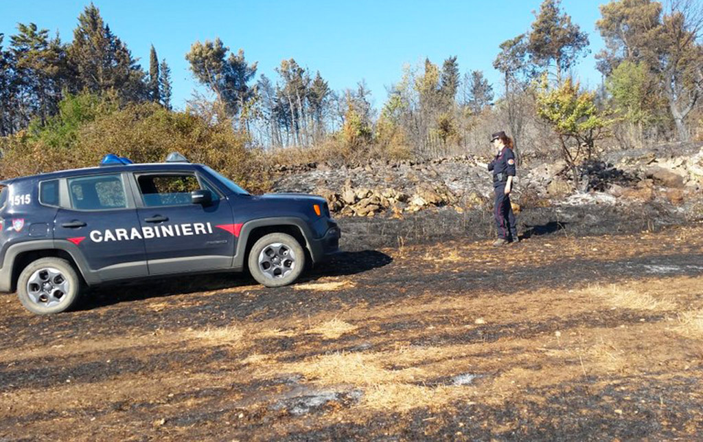 Sorpreso ad appicare incendio boschivo a San Mango d'Aquino, arrestato 67enne