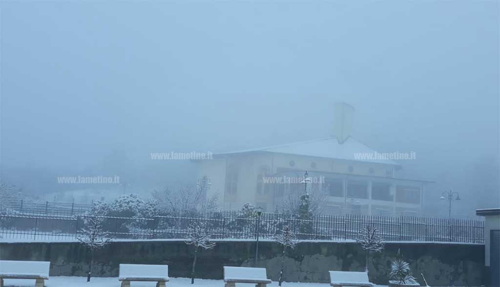 soveria-1-neve2018.jpg