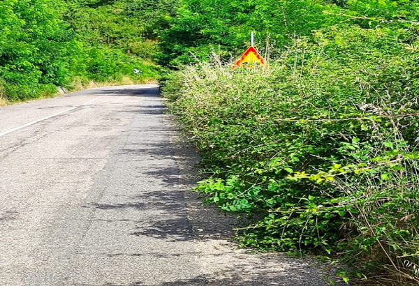 Incuria ed erbacce sulle strade dell'hinterland lametino, la segnalazione di un cittadino