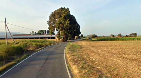 Lamezia: Provincia avvia lavori di completamento e riqualificazione SP 110