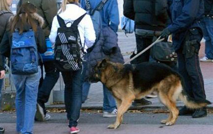 Lamezia, lotta allo spaccio davanti le scuole: Prefettura propone "daspo urbano"