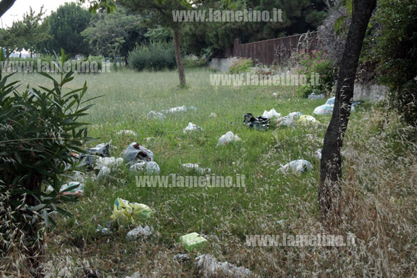 Lamezia: Ancora rifiuti tra viale Reillo e via D'Ippolito