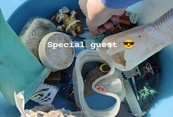 special-guest-12024_86b74.jpg