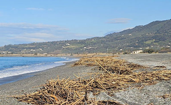 spiaggia-mare12821_de597_6efe1.jpg