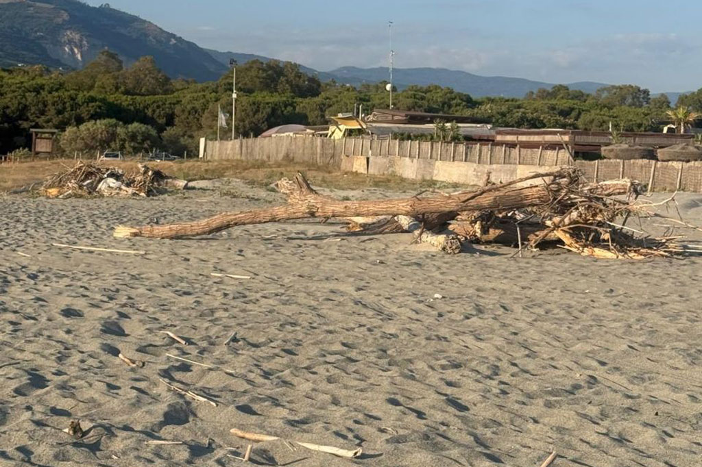 spiaggia024_8597c.jpg