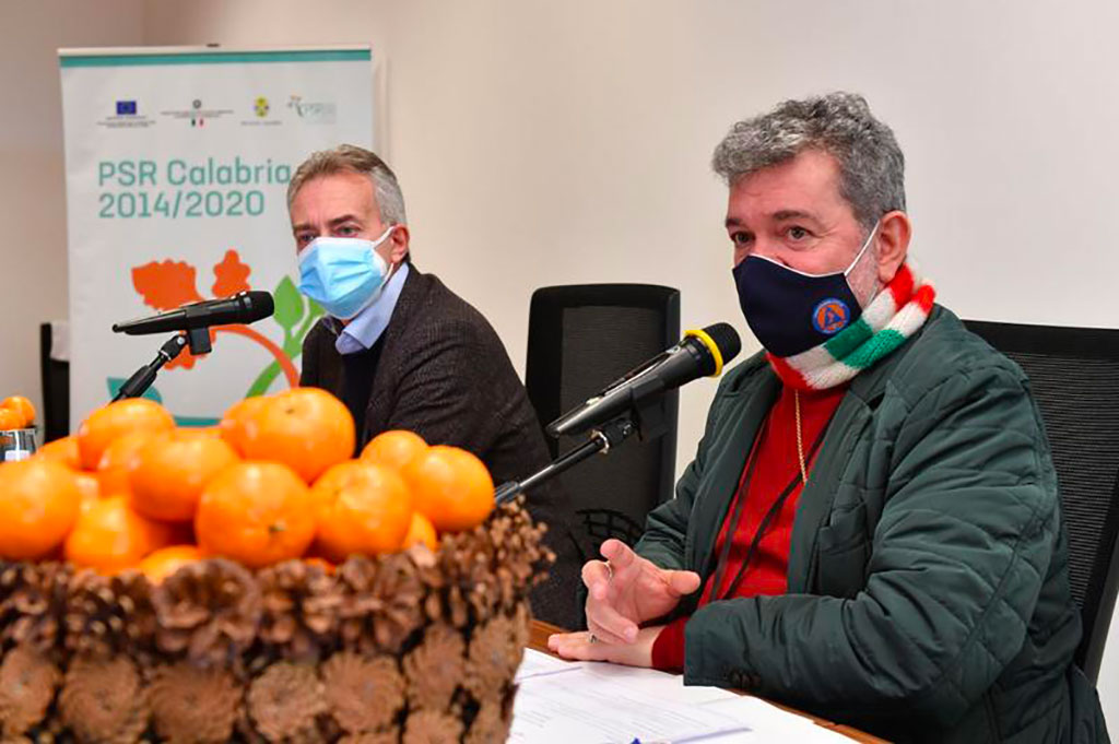 Sviluppo rurale in Calabria, presentati i bandi "Agrumicoltura" e "infrastrutture"