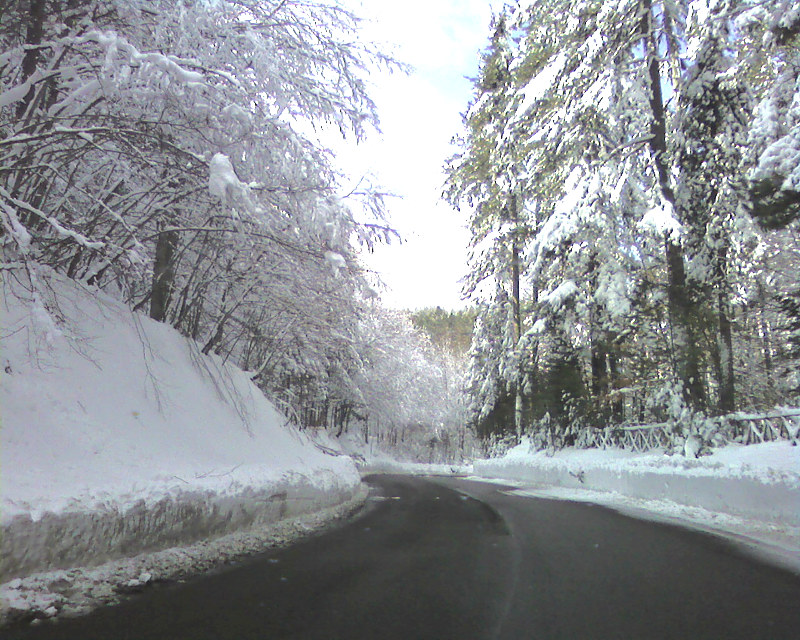 Calabria: Maltempo, neve e pioggia imperversano su regione