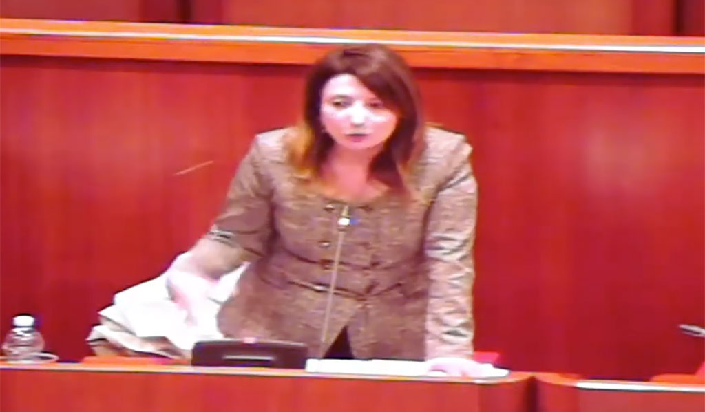 Assessore regionale risponde a interrogazione su Nocera Terinese rileggendo testo: video diventa virale - Video